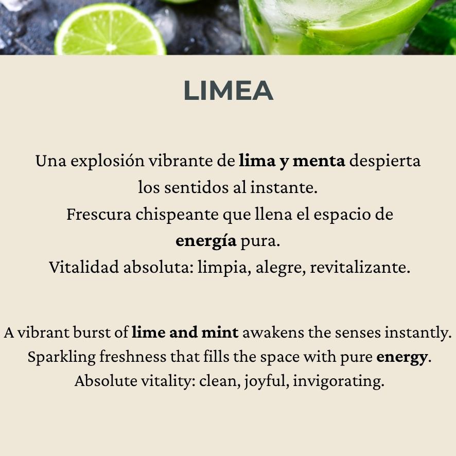 Recarga de maquina 100ml