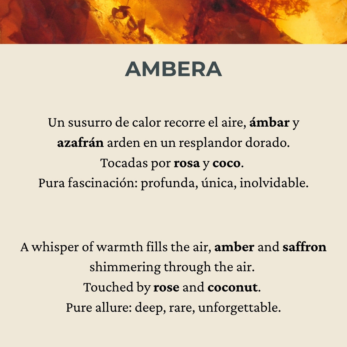 AMBERA – Aromatic Sticks